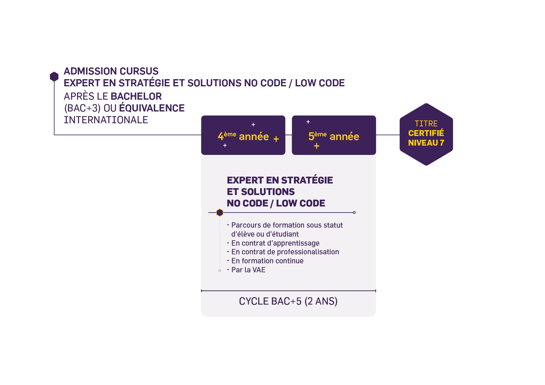 Cursus No Code de l'École Hexagone
